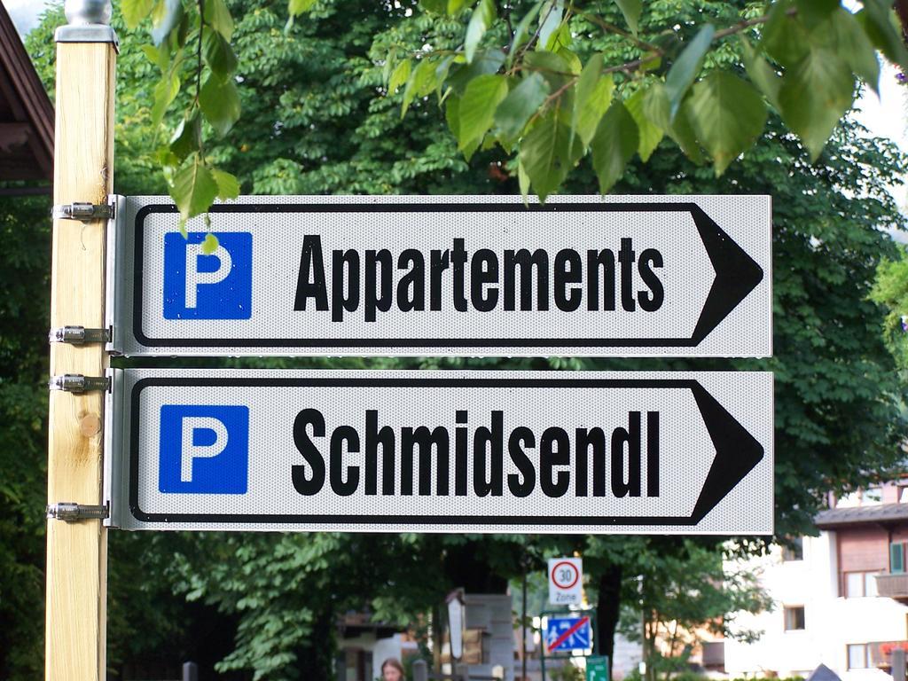 Appartements Schmidsendl Lofer Eksteriør billede